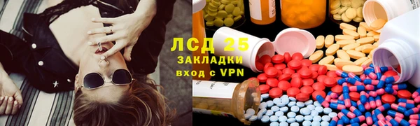 apvp Алзамай
