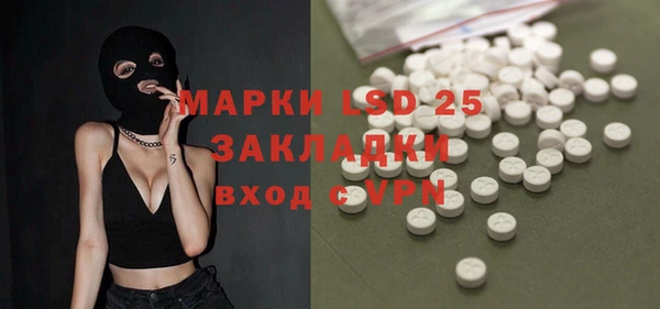 apvp Алзамай