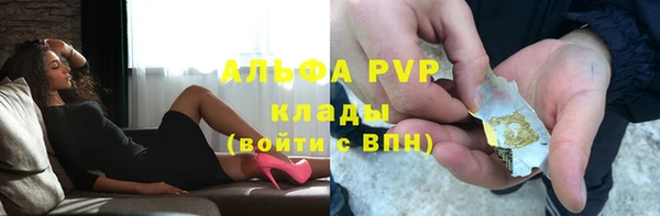 apvp Алзамай