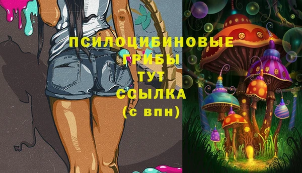 apvp Алзамай