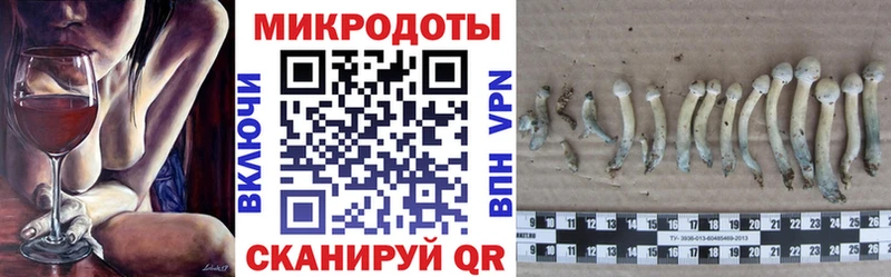 Галлюциногенные грибы Magic Shrooms  blacksprut зеркало  Калтан  купить  сайты 