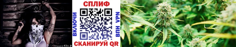 Бошки марихуана VHQ  Калтан 